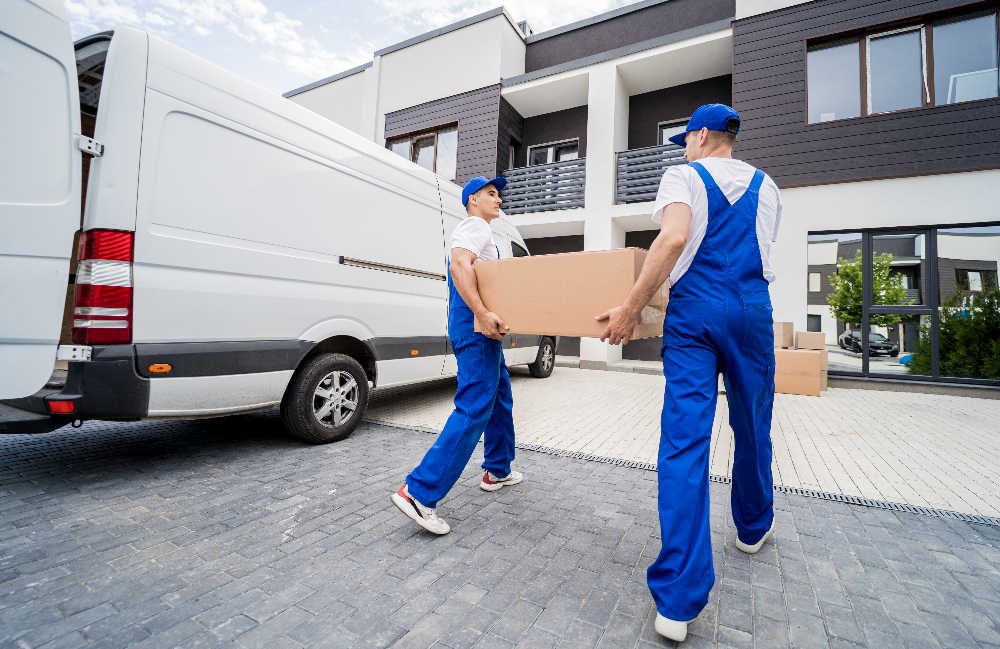 Removals Hackney